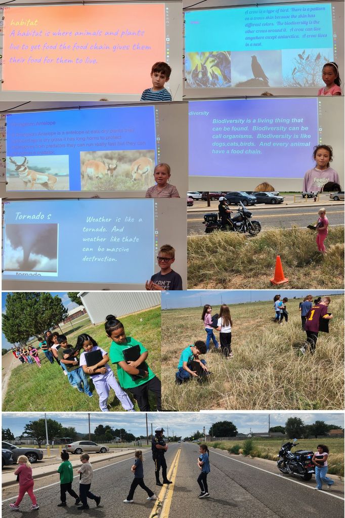 Walking Field Trip and Some Slides from the Google Slide Show
