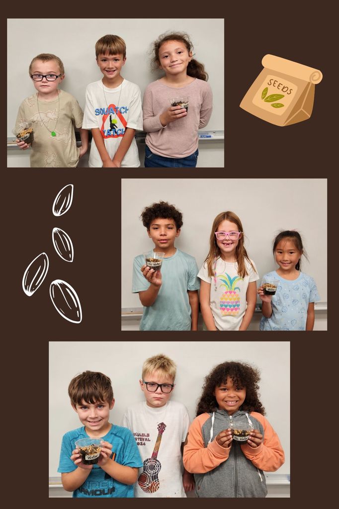 2nd Grade PLTW Seed Study