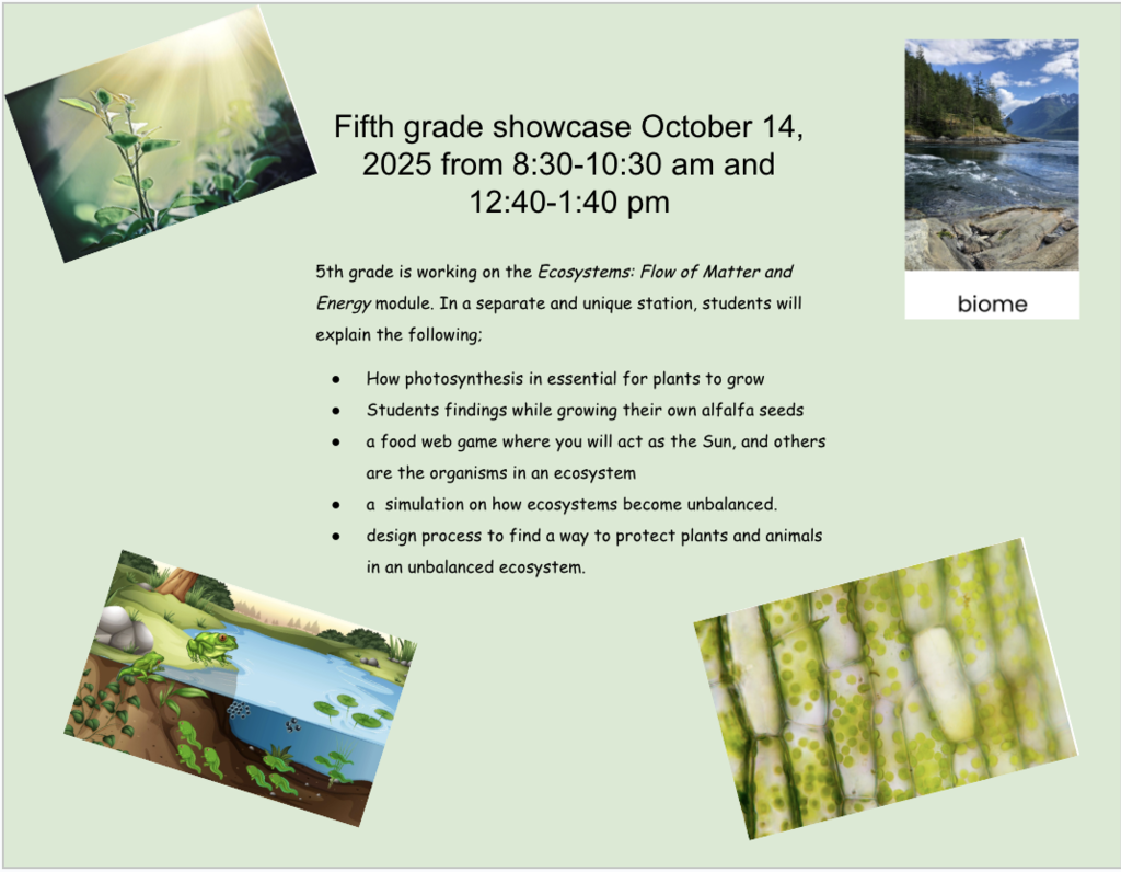 5th grade showcase information