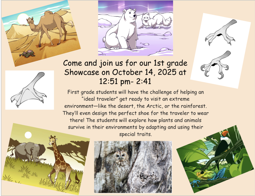 1st Grade showcase information