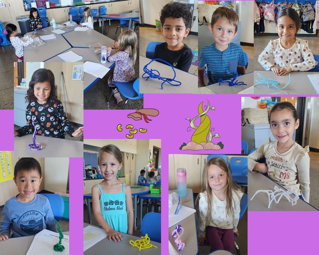 Mrs. Brisenos Class and their beanstalks