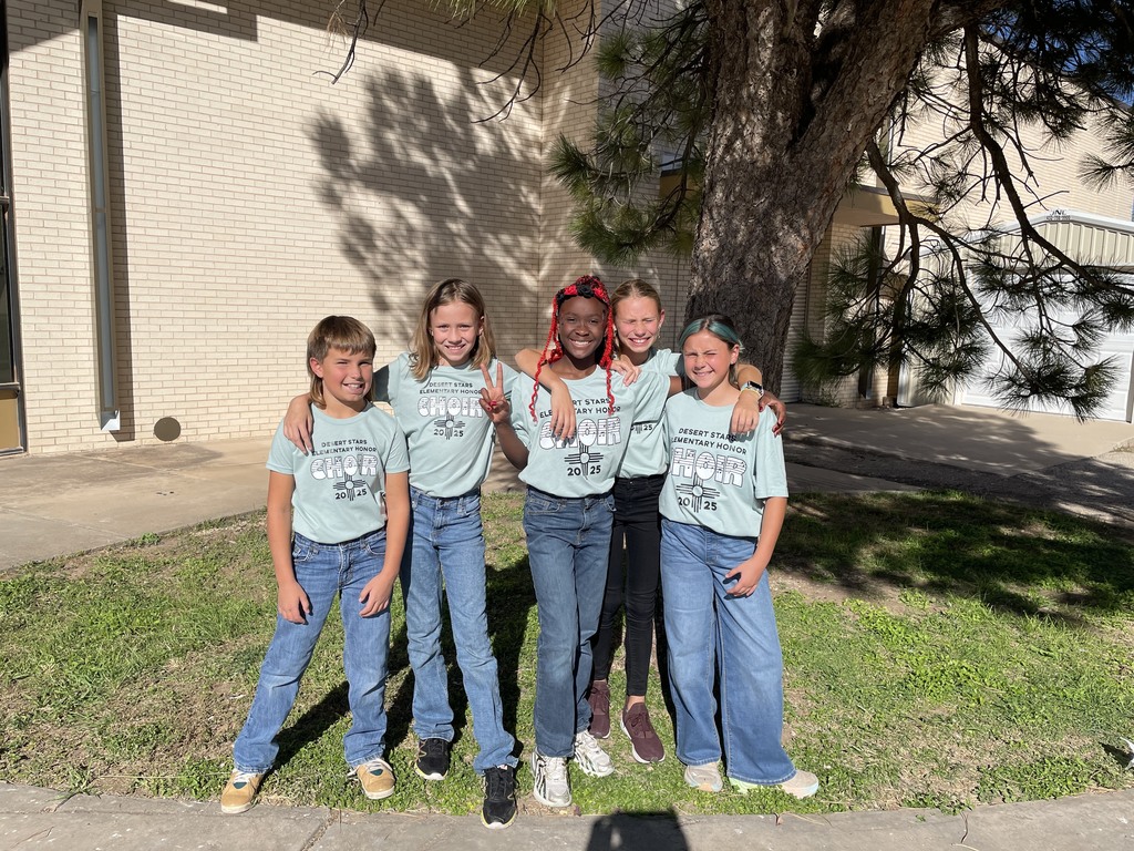 Desert Storms District Honor Choir
