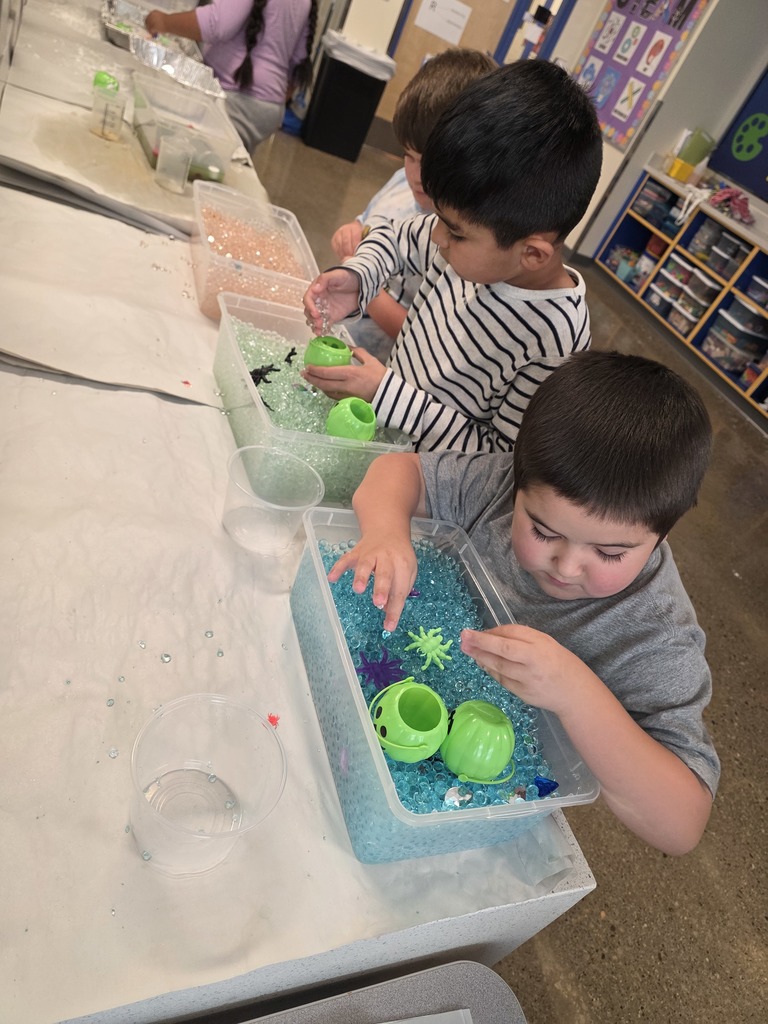 2 boy students with hands in water beads, exploring and finding fake spiders