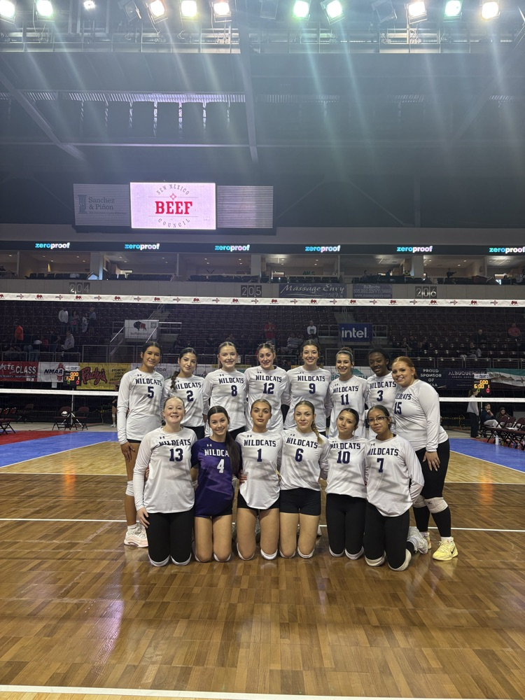 Wildcat Volleyball team on the court