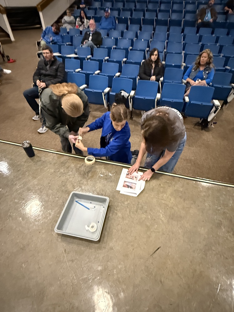 Teachers working on a project