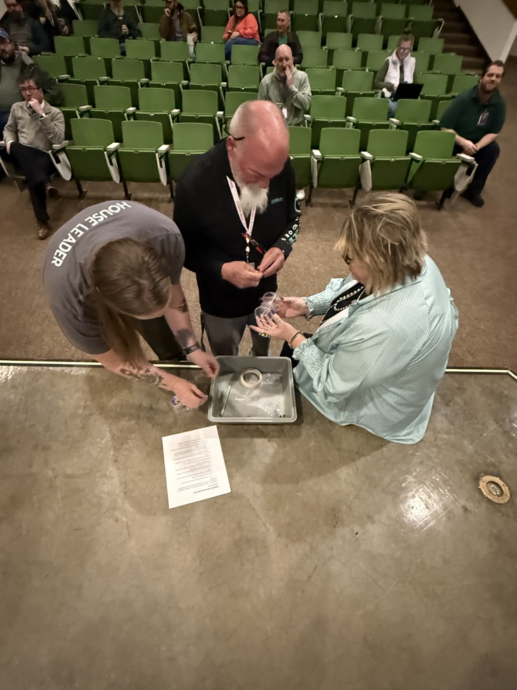 Group of teachers working