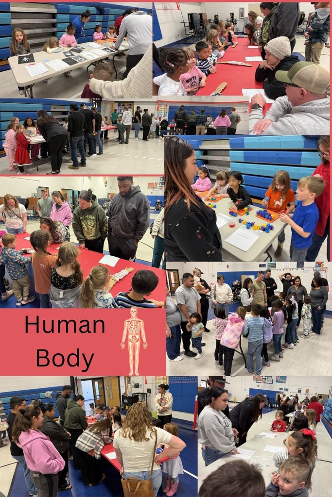 Kindergarten showcase structure and function of the human body.