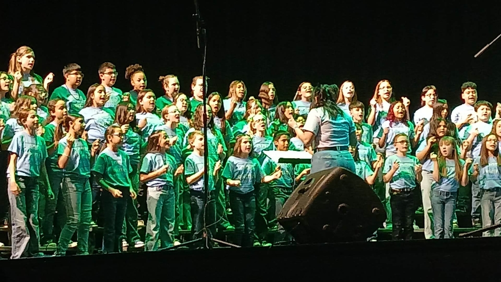 Mrs. Cole directing honor choir.