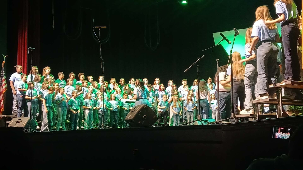 Mrs. Cole directing honor choir.