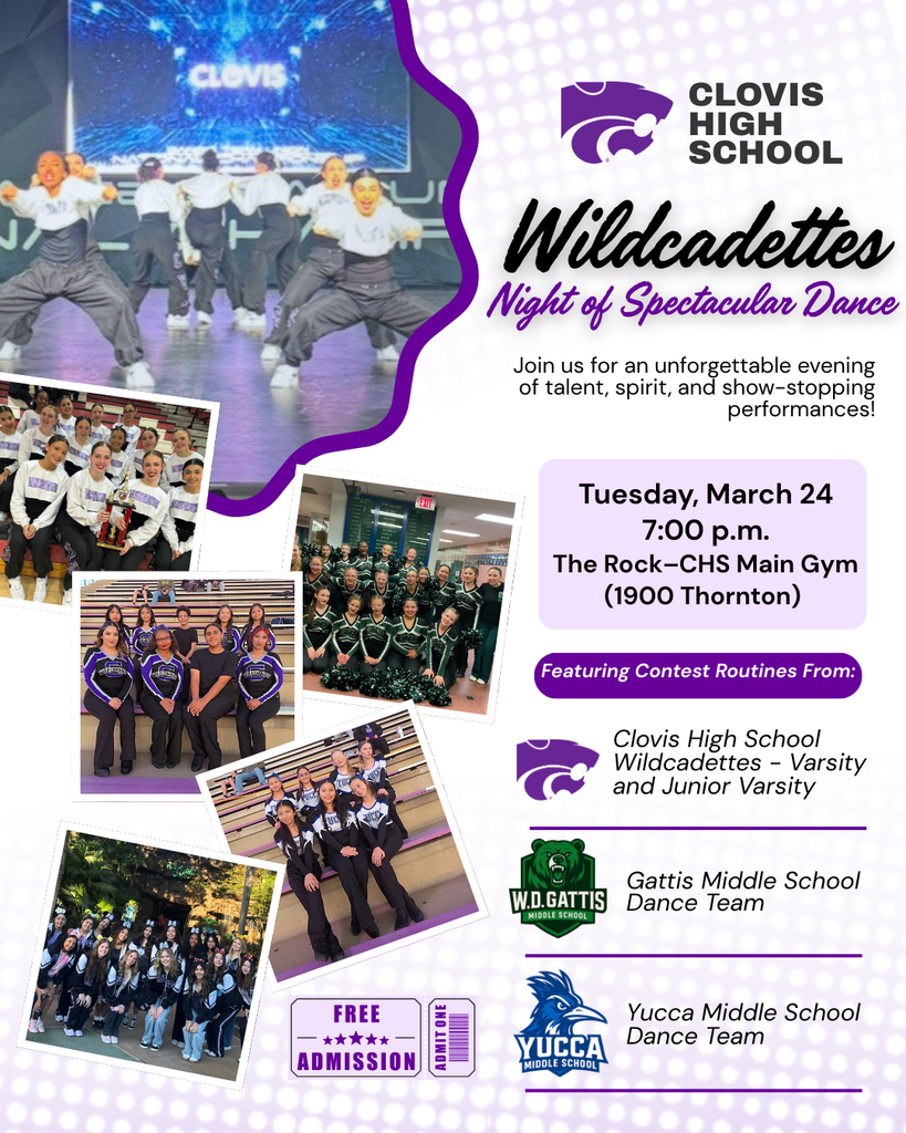 Flyer Wildcadette Night of Spectacular Dance
