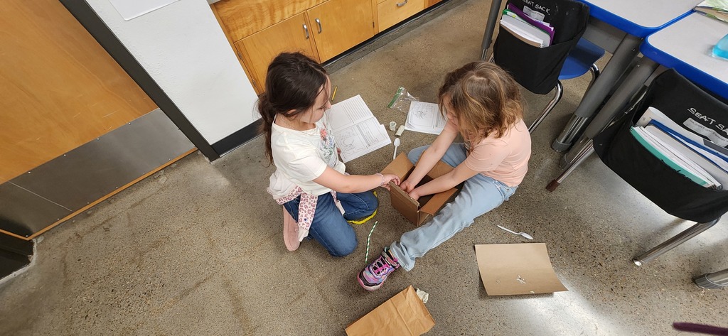 Mrs. Eichem's Class making their seed dispersal prototype