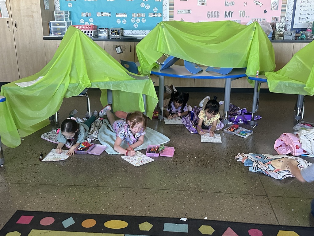 Mrs. Sullivan's class for "C" Camping day! 