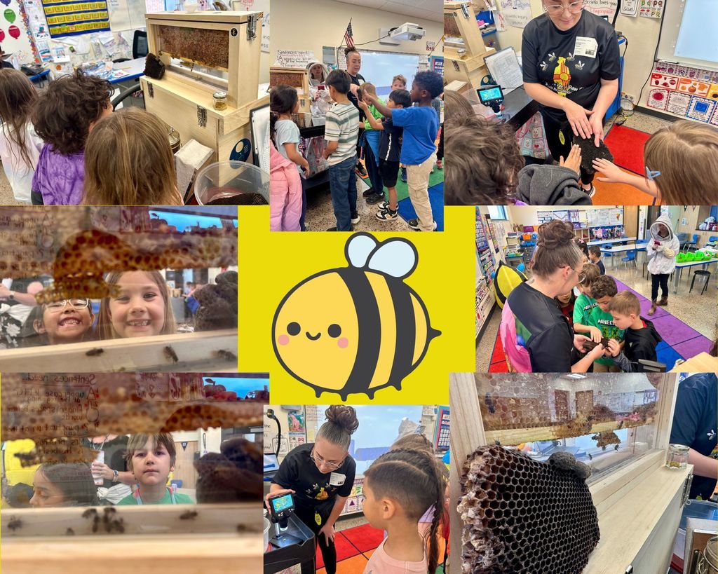 First grade with their bee friends