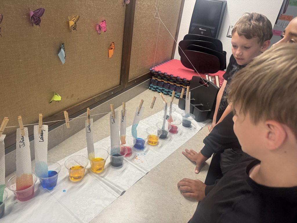 Mrs. Scism's class working on their PLTW Module Organisms: Structure & Function
