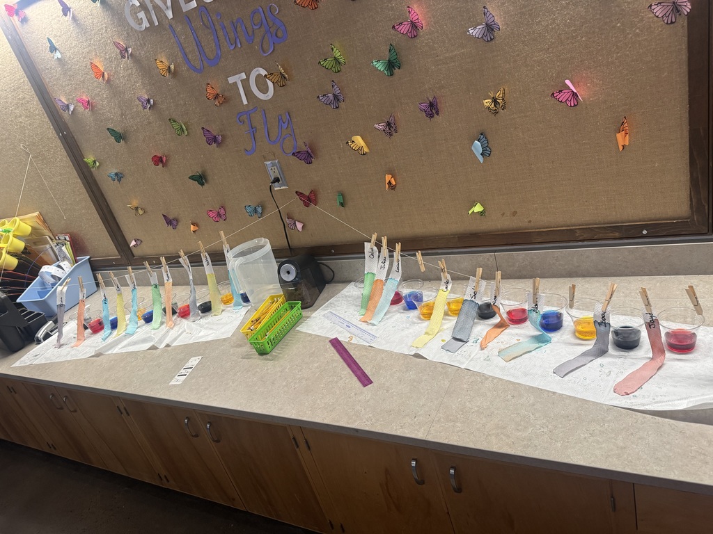 Mrs. Scism's class working on their PLTW Module Organisms: Structure & Function