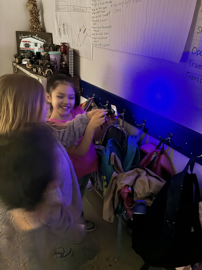 First Grade learning about light!