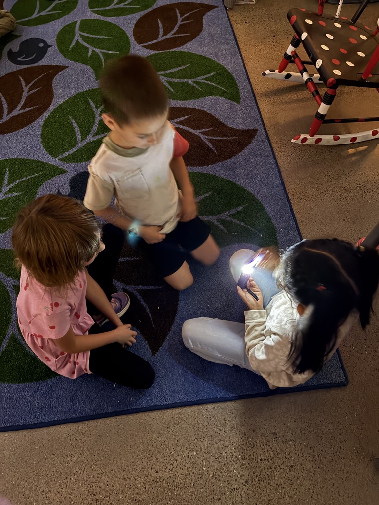 First Grade learning about light!