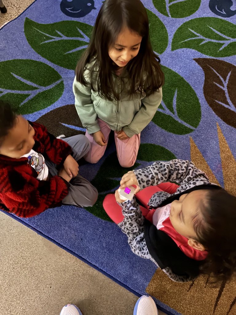 First Grade learning about light!