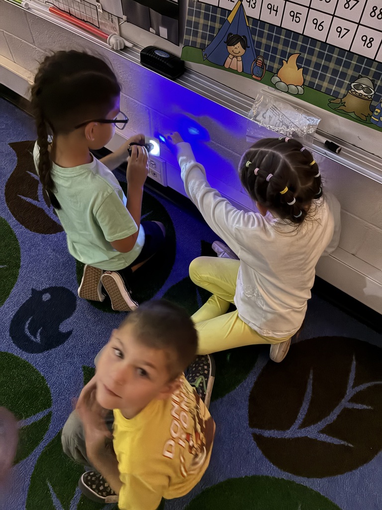 First Grade learning about light!