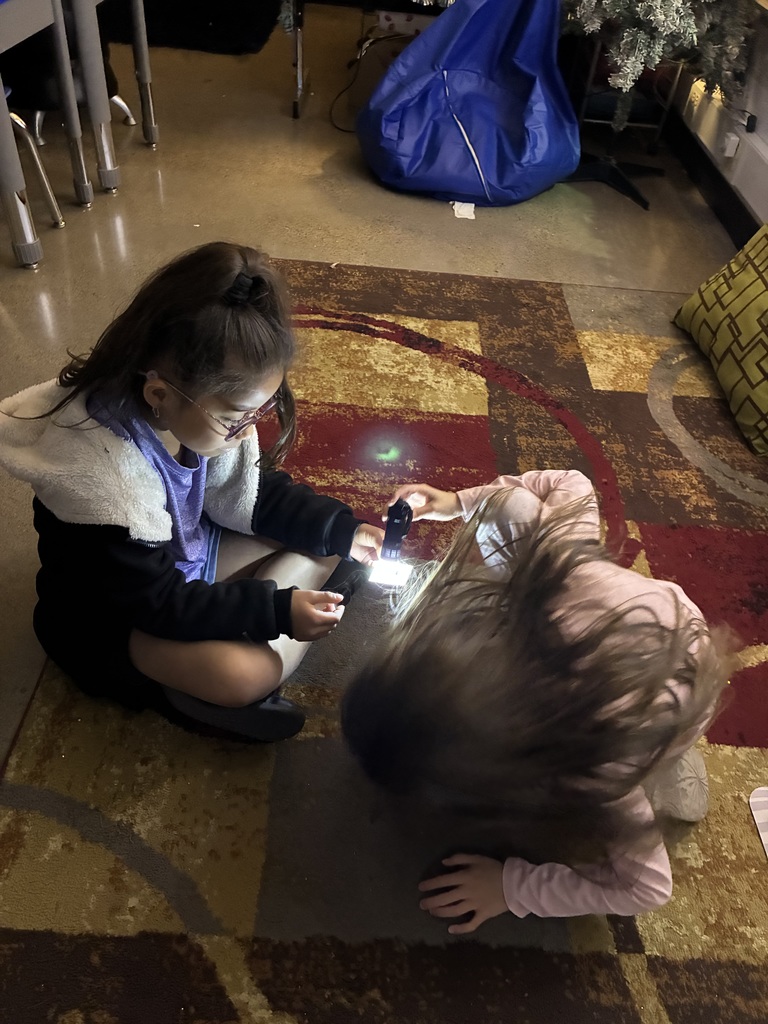 First Grade learning about light!