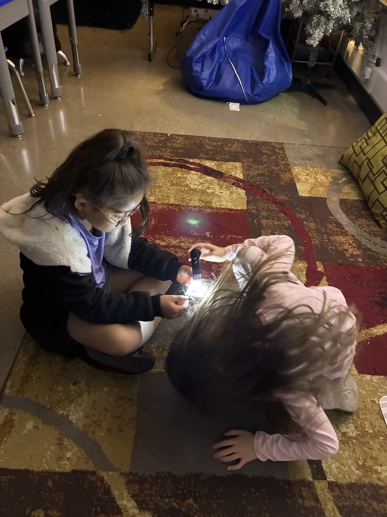 First Grade learning about light!