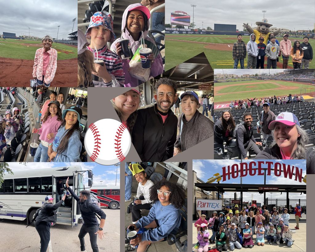Ambassador field trip to hodgetown to watch a baseball game!