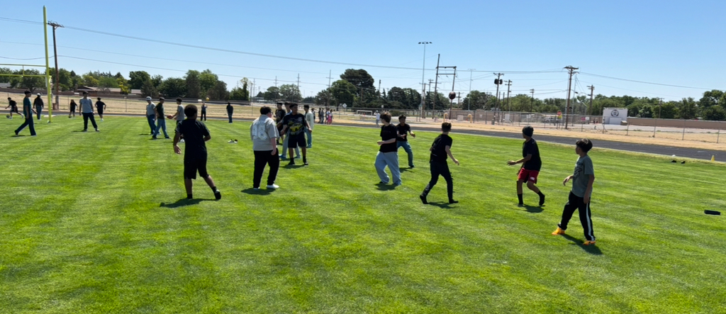 Multiple people in casual clothes jog on a grassy field, with a clear sky above and trees in the distance.
