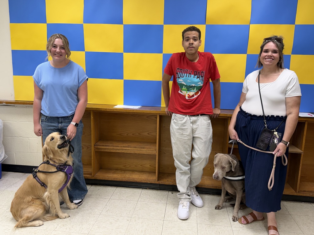 Three people stand with dogs in a room featuring a blue and yellow checkered wall and white floor.