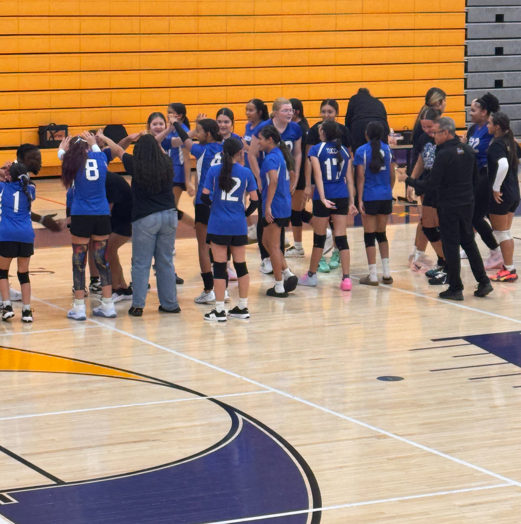 Volleyball