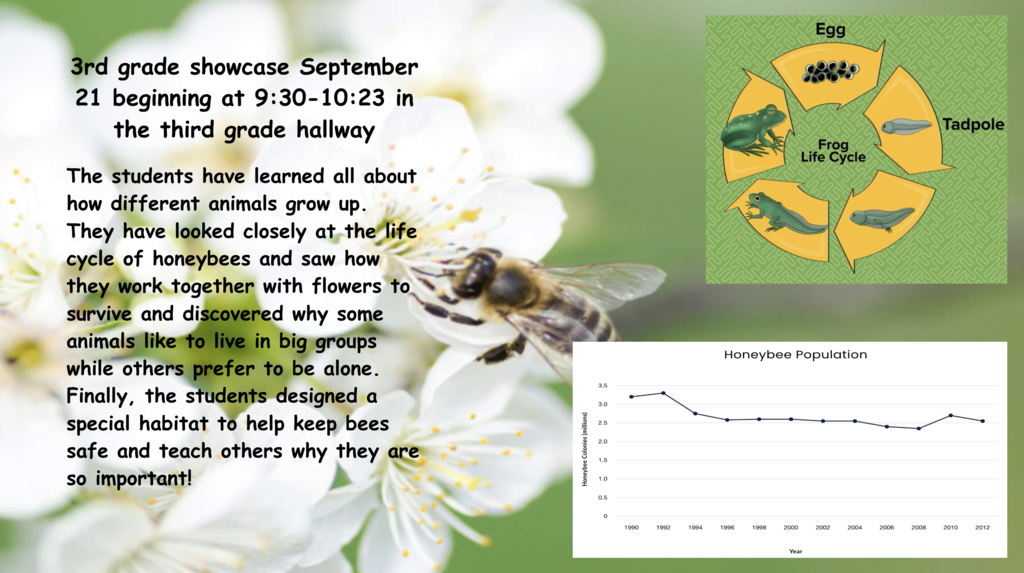 An educational page displays a bee on a flower and a diagram of a bee's lifecycle.