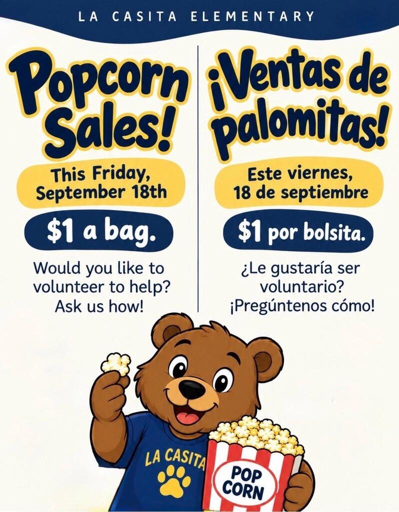 Bear eating popcorn