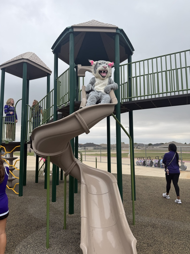 A mascot sits on a slide at a playground. A person in a purple shirt stands nearby.