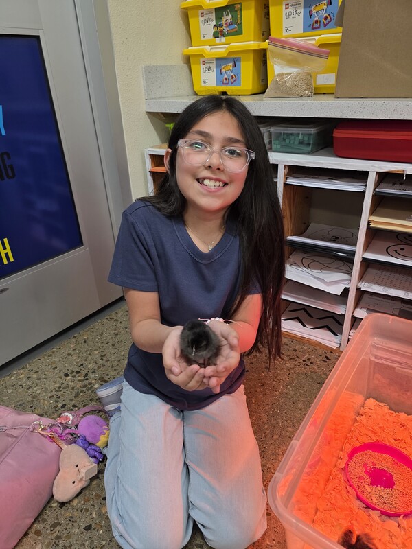 Girl student smiling and holding a baby chick