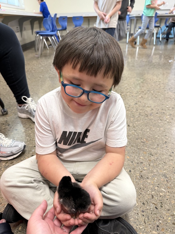 boy student with glasses holding a baby chick.
