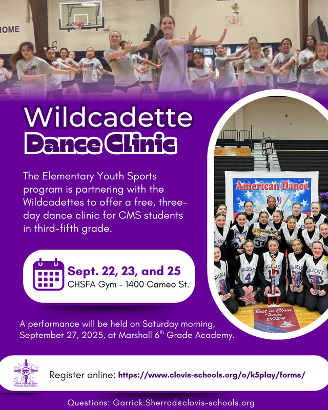 Flyer for the Wildcadette Dance Clinic