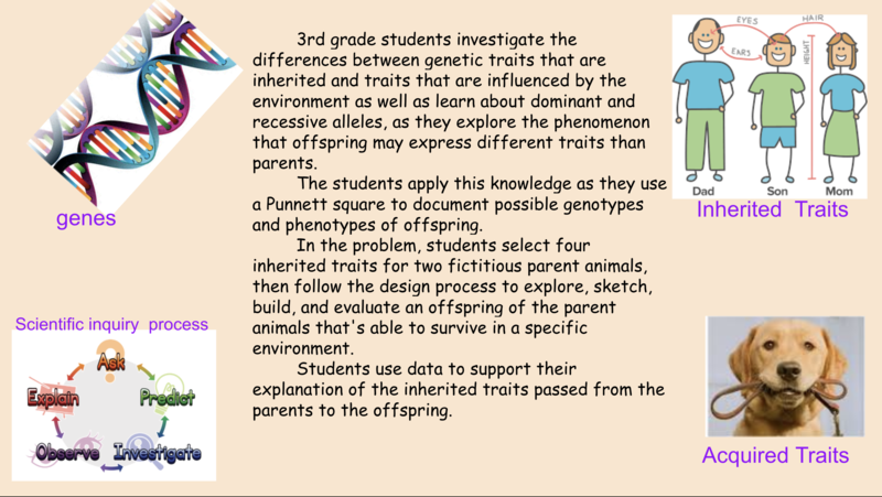 3rd grade showcase about traits