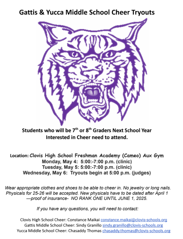 cheer tryout flyer