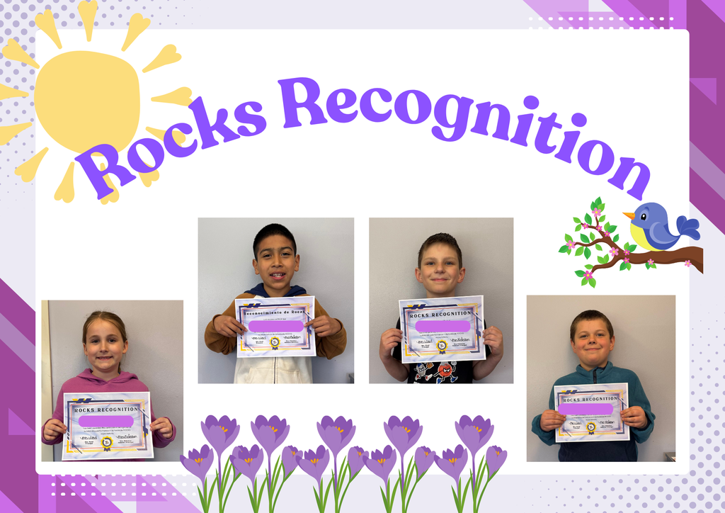 rocks recognition