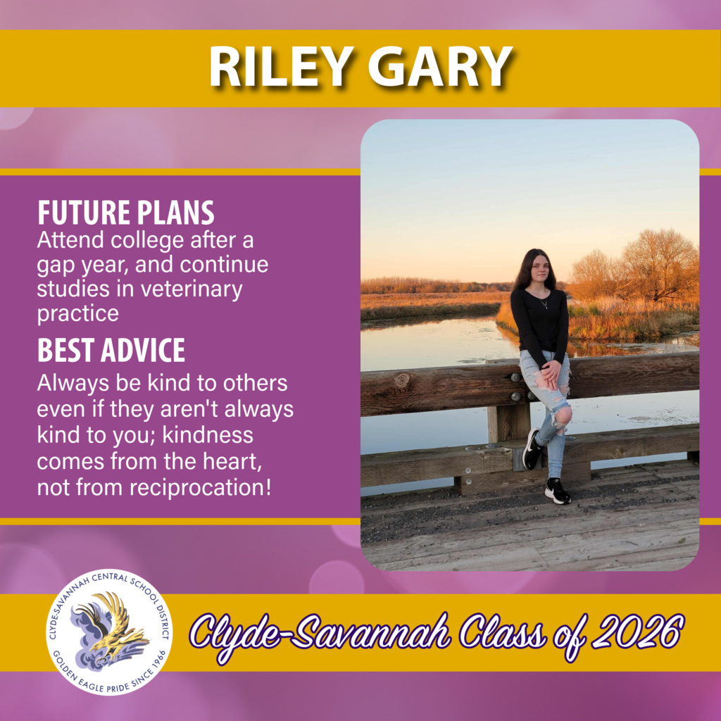 senior spotlights