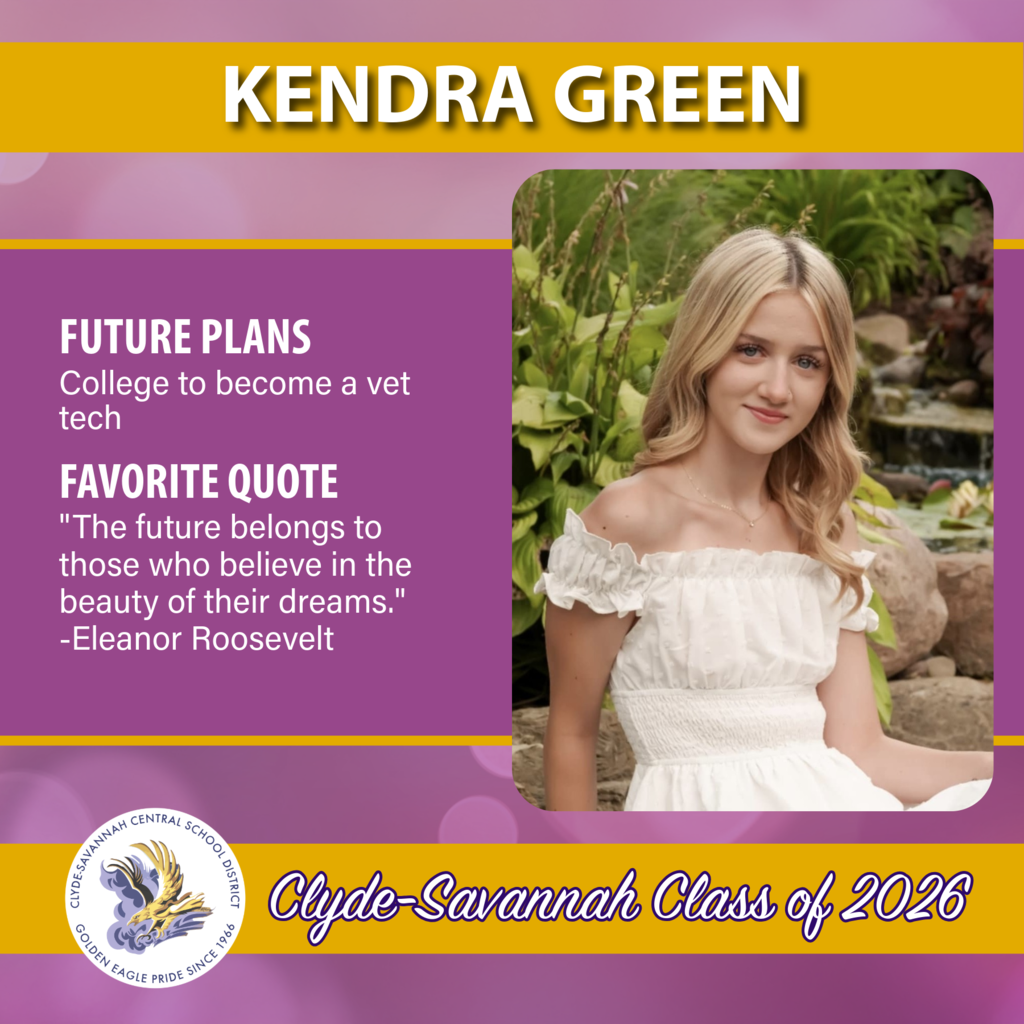 senior spotlights