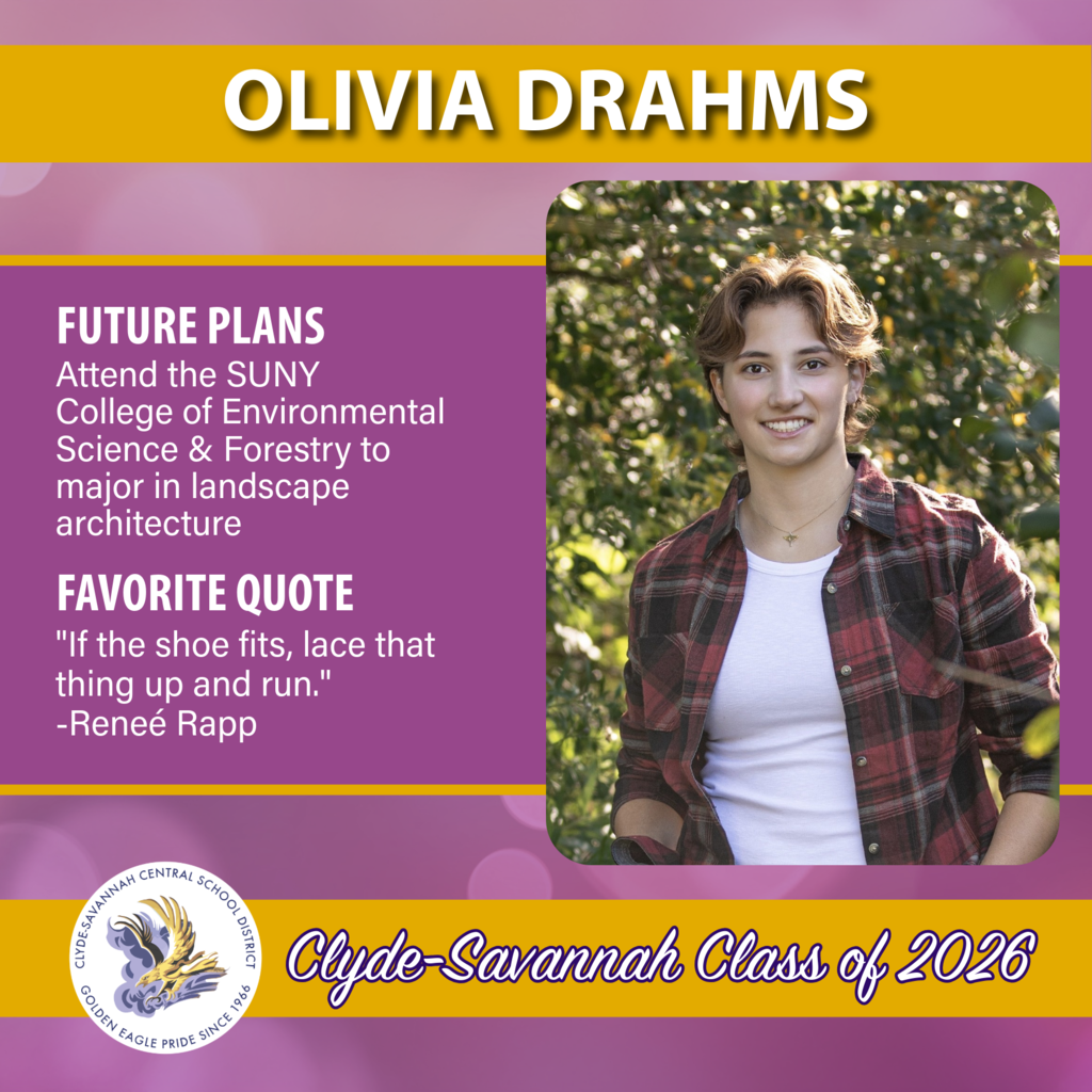 senior spotlights