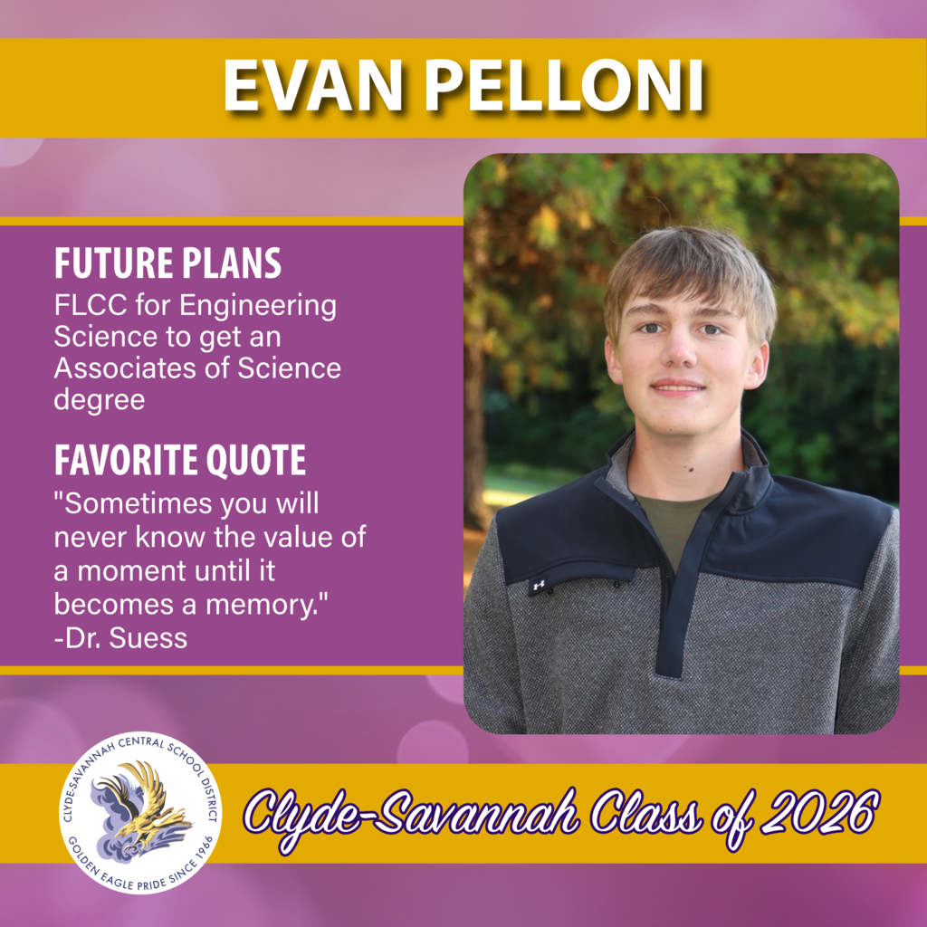 senior spotlights