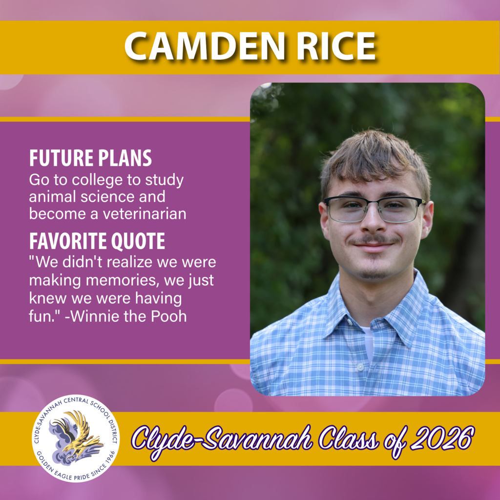 senior spotlights