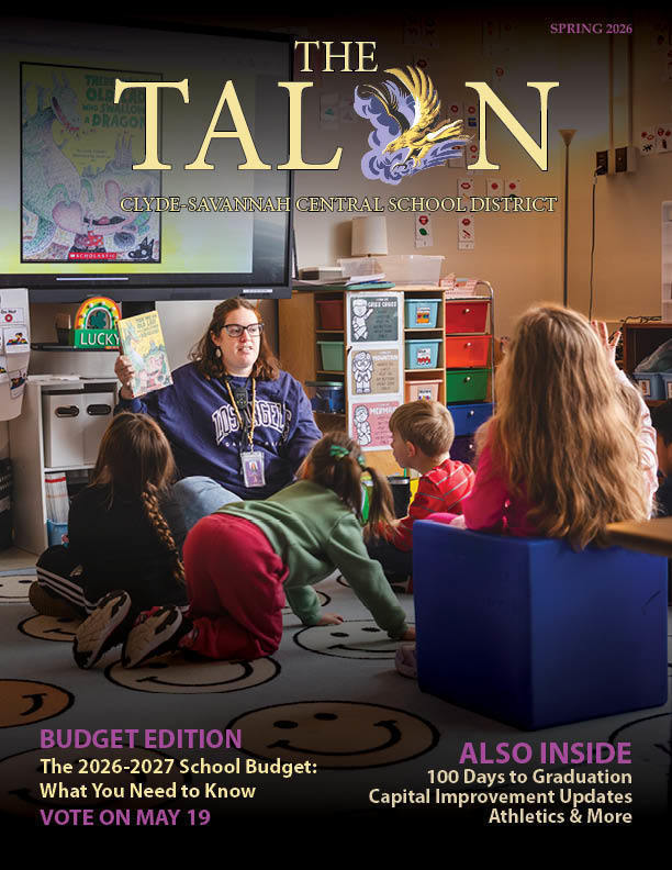cover of the talon budget edition
