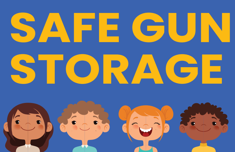 Safe Gun Storage