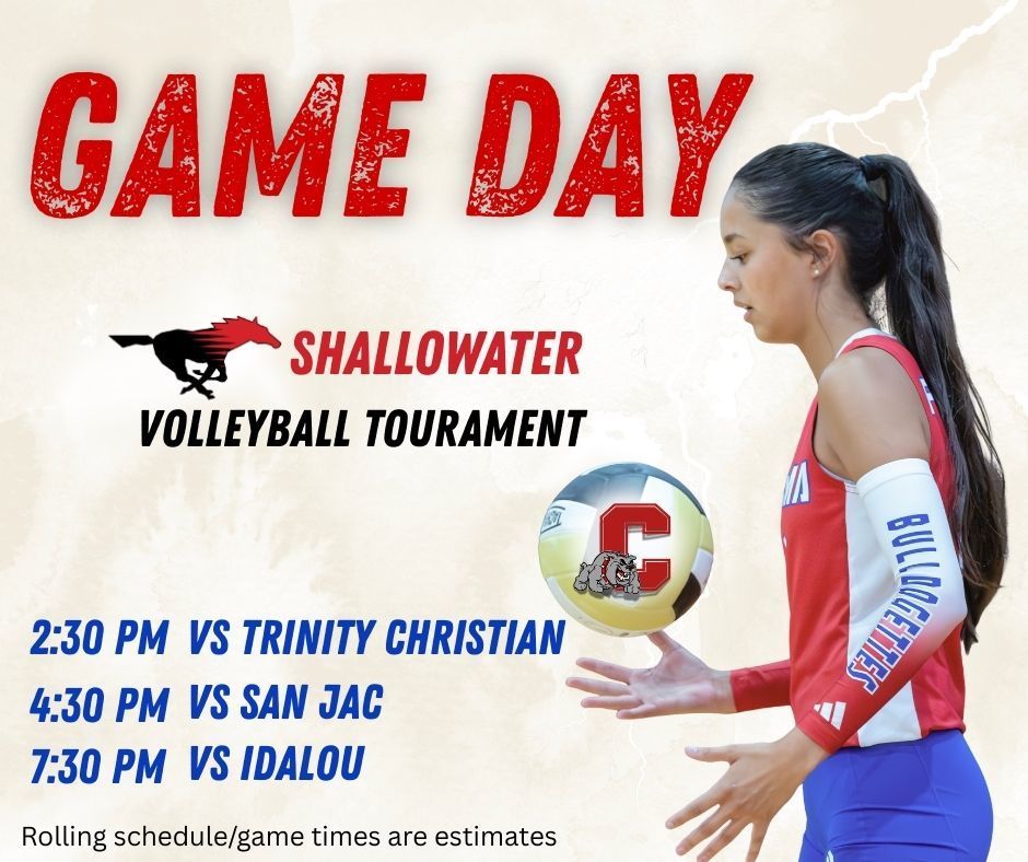 promotional for a volleyball tournament