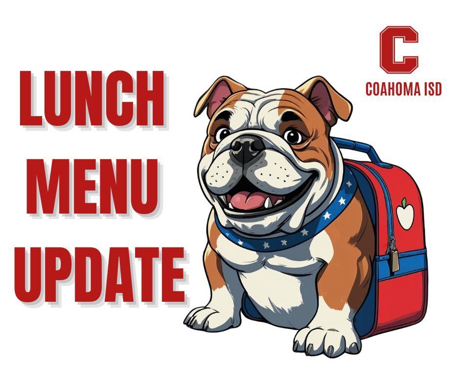 bulldog wearing a back pack