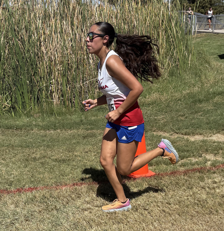 Crosss Country runner running