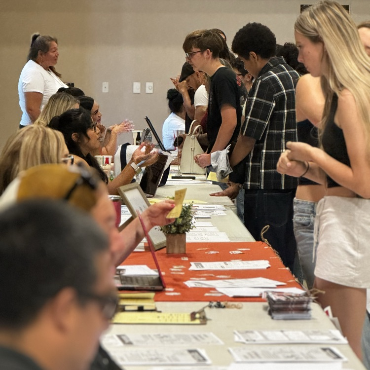 Students complete registration and data confirmation