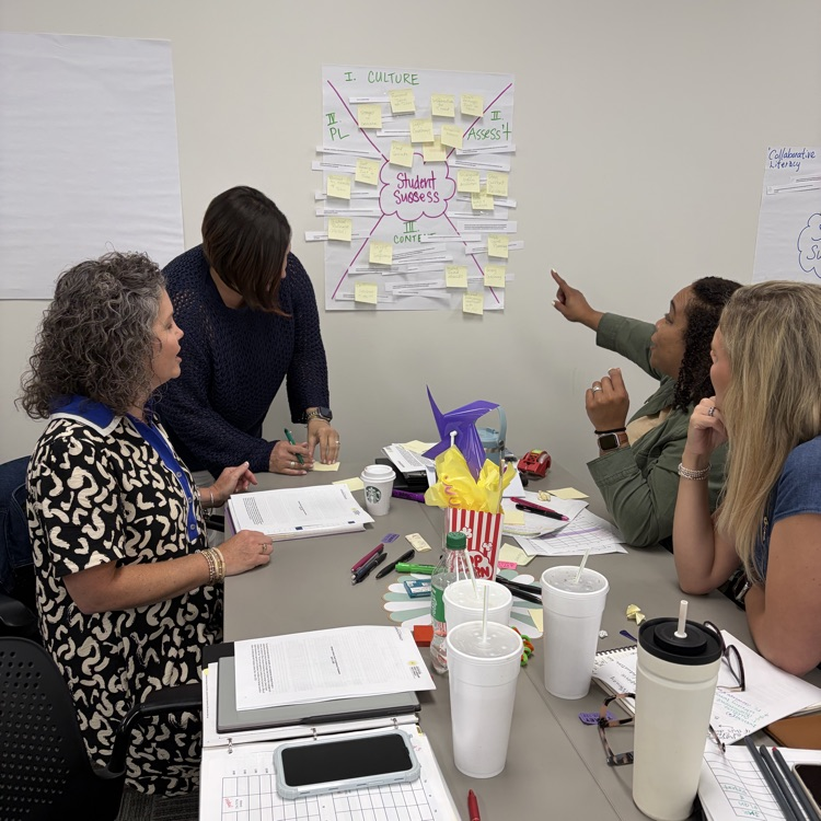 literacy coaches collaborated